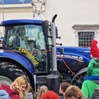 Spittaler Fasching