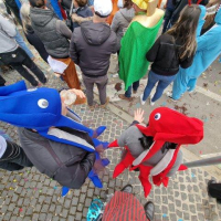Spittaler Fasching